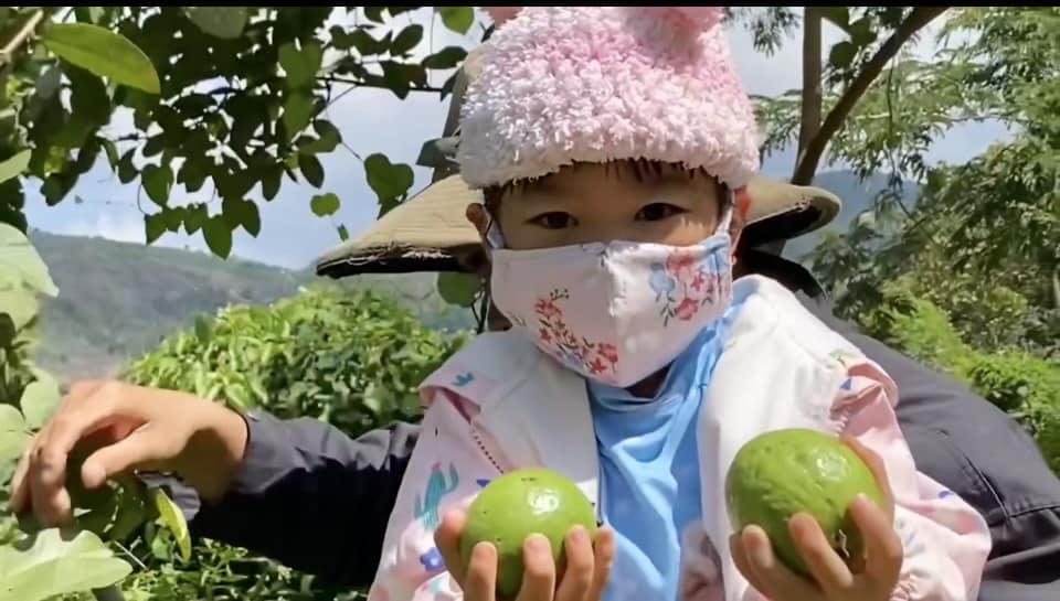 Dọn Vườn Là Dọn Tâm