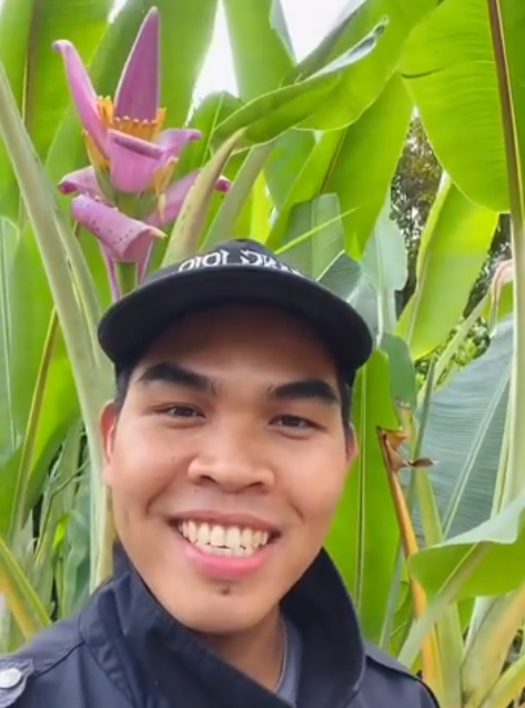 Thương Thân Cây Chuối & Bài Học Cho Đời