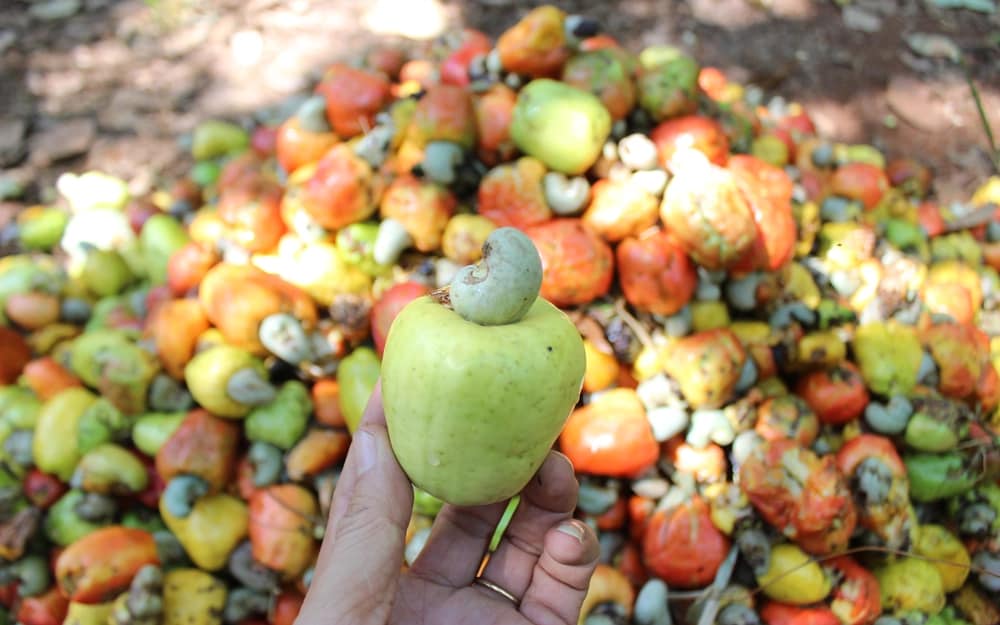 Yếu Tố Chủ Chốt Quyết Định Thành Công